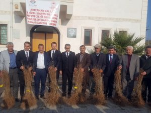 Sincik Ve Samsat’ta Meyve Fidanı Dağıtıldı