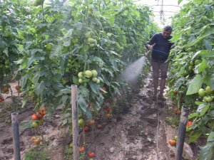 Kumluca’da Çamur İçinde Üretim