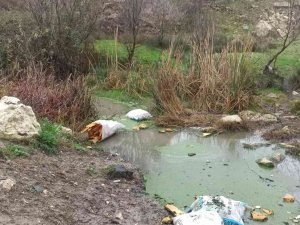 Çocukken Yüzdükleri Derede Şimdi Çöpler Yüzüyor
