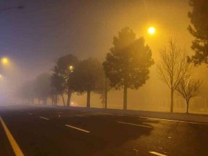 Ankara’da Sis Etkili Oldu