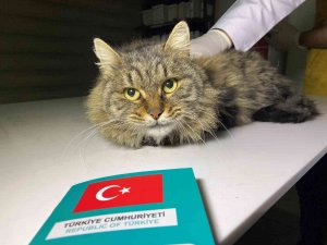 Son Tarih 31 Aralık