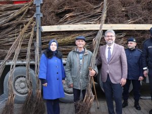 Gölpazarı’nda 13 Bin 800 Fidan Toprakla Buluşuyor