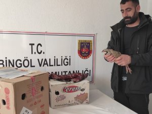 Bingöl’de Yasak Şekilde Avlanan 13 Adet Kınalı Keklik Ele Geçirildi