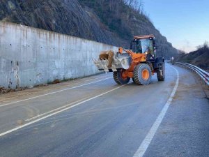 Yola Düşen Kayalar İş Makineleriyle Kaldırıldı