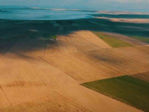 Nesli Tükenmekte Olan Toy Kuşu Dron İle Görüntülendi