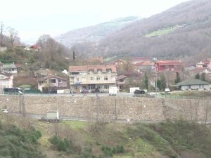 Beykoz’da Aç Kalan Domuzlar Yerleşim Yerlerine İndi