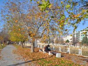 Kış Güneşinin Tadını Çıkarttılar