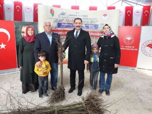 Vali Masatlı: “Bu Yıl Ürün Rekoltelerimiz Rekor Kırdı”