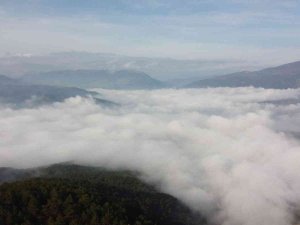 Bu Manzara Görülmeye Değer