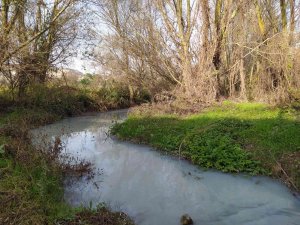 Çatalca’daki Muratbey Deresi’nin Rengi Kimyasal Atıklardan Dolayı Maviye Döndü