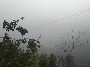 Silvan’da Yoğun Sis, Görüş Mesafesini 20 Metrenin Altına Düşürdü