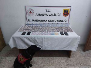 Amasya’da Jandarmanın Operasyonunda Bin288 Adet Uyuşturucu Hap Ele Geçirildi