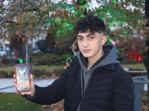 Şehirlere Dadanan Tilkiler Kedilere Rakip Oldu