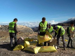 Konyaaltı, Otlakları Gübreliyor
