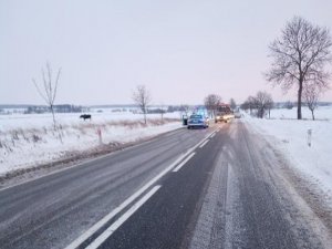 Polonya’da Geyikler Buzlanmaya Karşı Dökülen Tuzlar İçin Yollara Çıktı