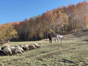Tatvan’dan Kartpostallık Kareler