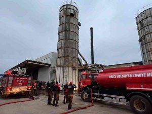 Düzce’de Fabrika Yangını Korkuttu