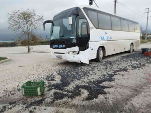 Kamyonet İle Servis Otobüsü Çarpıştı, 1,5 Ton Zeytin Yola Saçıldı