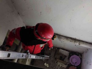 Apartman Boşluğunda Mahsur Kalan Kediyi Akut Ekibi Kurtardı