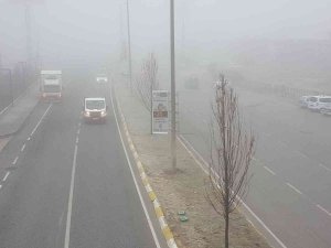 Erzincan’da Sis Ve Soğuk Hava Etkili Oldu