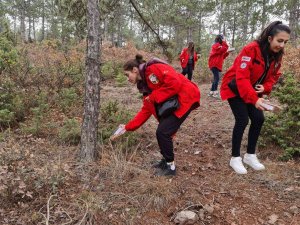 Akut Ve Öğrenci Kulüpleri Sokak Hayvanlarına Yiyecek Bıraktı