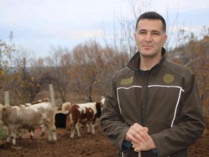 Bankacılığı Bıraktı, Devlet Desteğiyle Köyüne Yerleşip Hayvancılığa Başladı