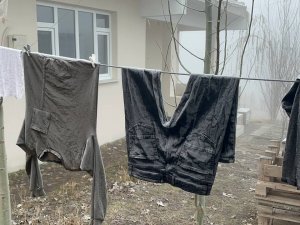 Kar Olmayan Ağrı’da Don Yaşanıyor