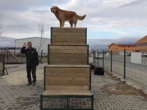 Afyonkarahisar’ın Hassas Burunları Türkiye’nin Her Yerinde Görev Yapıyor