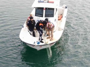 Jandarma Ekipleri, Kaçak Avcıların Kullandığı Bin 50 Metrelik Ağı Ele Geçirdi
