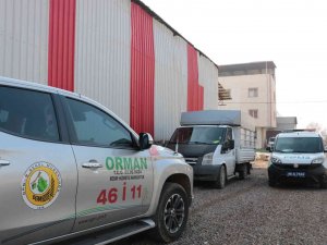 Ağaçları Kesti, Yakalanacağını Anlayınca Aracı Bırakıp Kaçtı