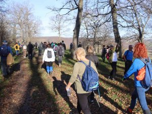 Doğanın Tadını Çıkardılar