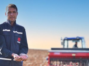 Karesi Belediyesi Boş Tarlalara Buğday Ekti