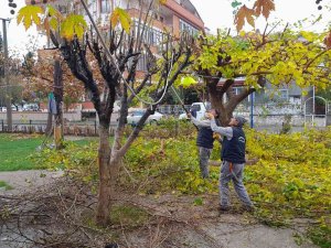 Burhaniye Merkezde Parklar Yenileniyor