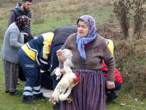 Ekipler Yaralılar, Köylü Kadınlar Tavuklar İçin Seferber Oldu
