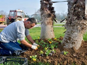 Çevre Dostu Biga Belediyesi Şehri Güzelleştiriyor