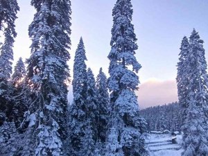 Düzce’de Yüksek Kesimler Beyaza Büründü