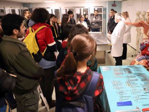 Tobb Fen Lisesi Öğrencileri Sanko Üniversitesi’nde İntörnlük İle İlgili Bilgi Aldı