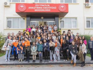 Çocukların Zeytin Hasadı Sevinci