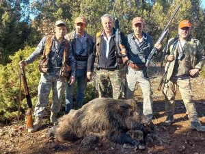 Hisarcıklı Avcılar Yaklaşık 350 Kilo Ağırlığında Domuz Avladı