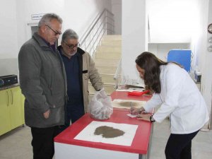 Toprak Analizi Verim Ve Kaliteyi Arttırıyor