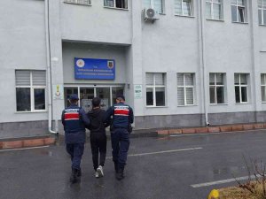 Pkk Üyesi Şahıs Jandarmadan Kaçamadı
