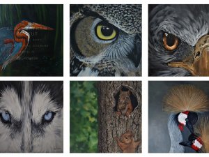 Doğadan Sergisine Sanal Gezi