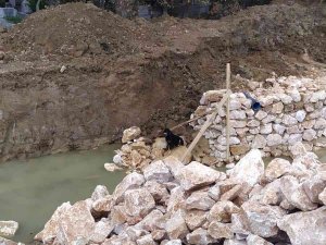 Yalova’da Dere Yatağına Düşen Köpeği İtfaiye Kurtardı