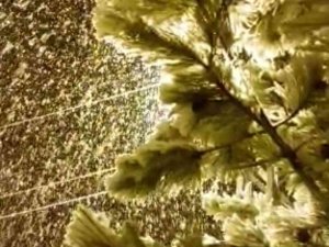 Tufanbeyli’de Yoğun Kar Yağışı