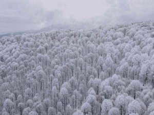 Bursa’da Kar Kartpostallık Görüntüler Oluşturdu