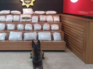 Şanlıurfa’da 21 Kilo 550 Gram Skunk Ele Geçirildi