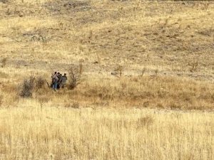 Yasa Dışı Avcılığa Karşı Önlemler Artırıldı