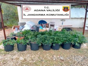 Kiraladıkları Villada İklimlendirme Sistemiyle Kenevir Yetiştirmişler