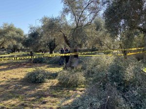 İ̇nşaat İşçileri Gördü, Polise Haber Verdi