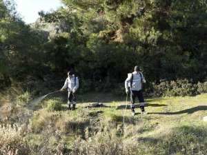Kuşadası Belediyesi Parazitlere Karşı Savaş Açtı